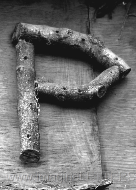Wall_Art_Alphabet_Photography_Art_ 1804.jpg